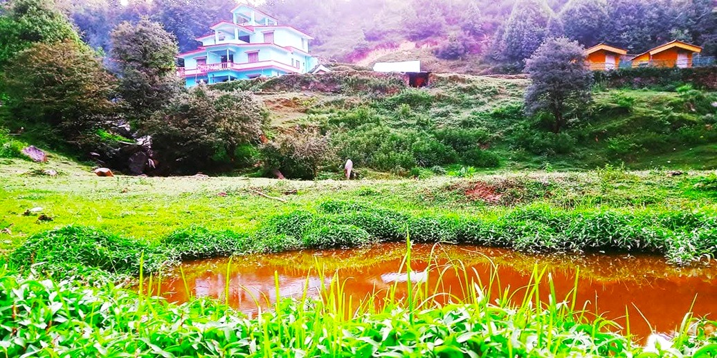 Hotel in Chopta Hotel in Chopta