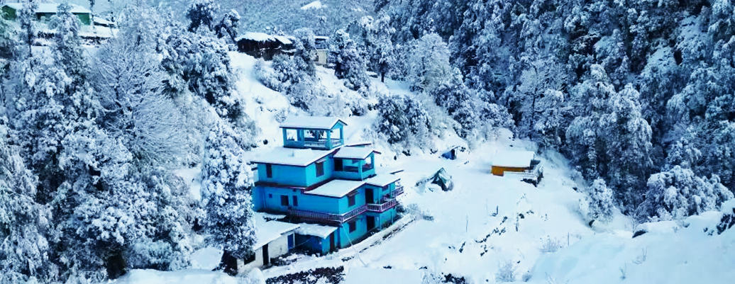 Hotel in Chopta Hotel in Chopta